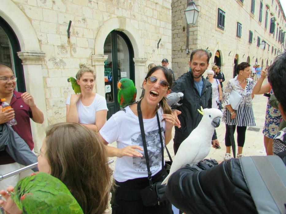 dubrovnik loros