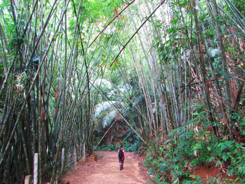 khao sok