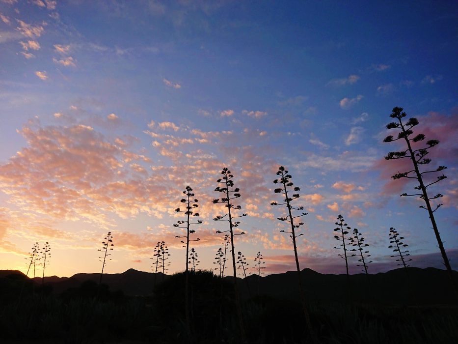 CABO DE GATA: PLAYAS, CALAS Y OTROS CUENTOS