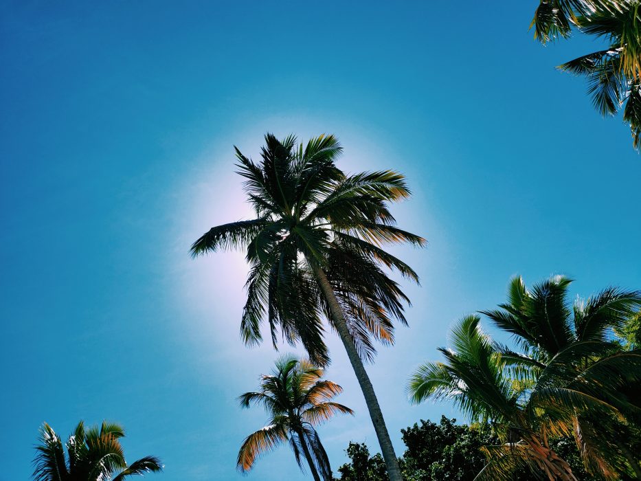 PENINSULA DE SAMANA, EL PARAISO ERA ESTO