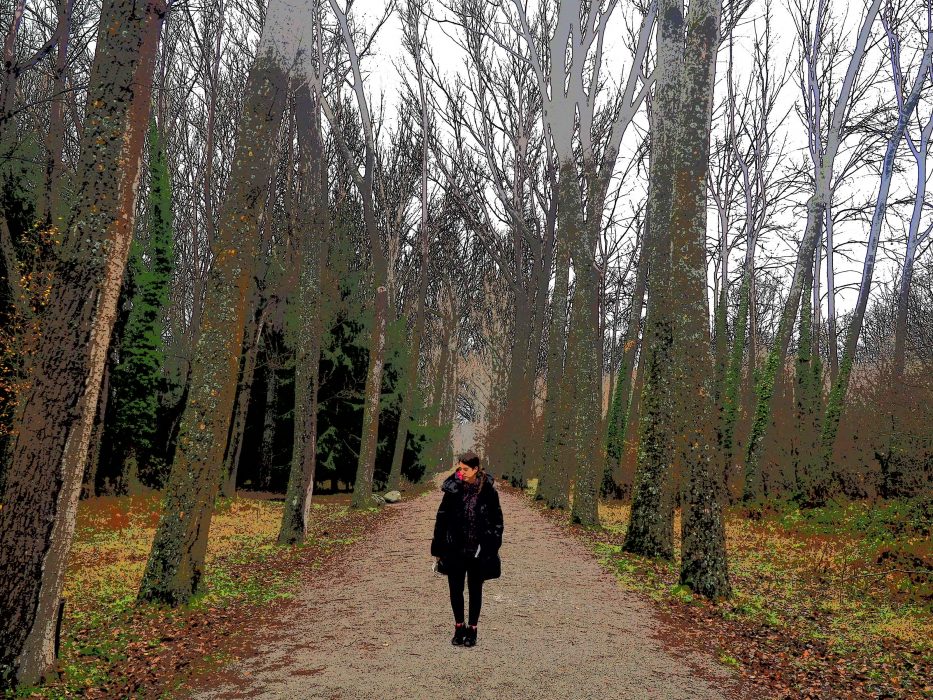 bosque
