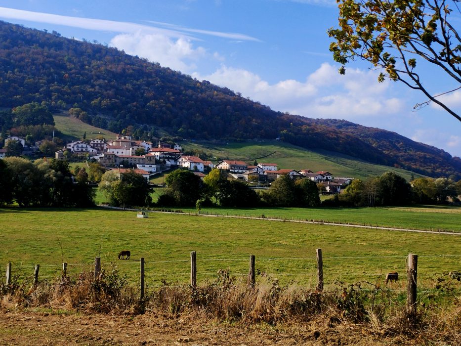 navarra