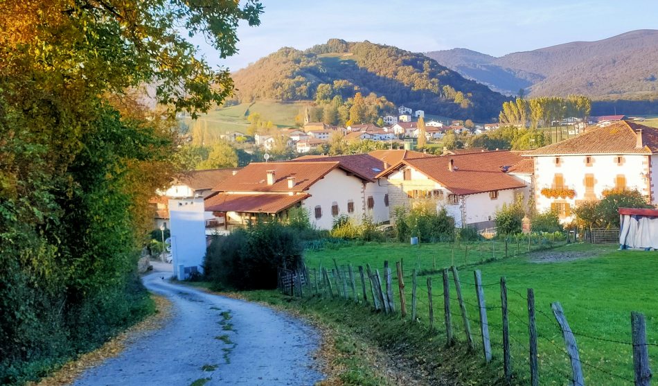navarra