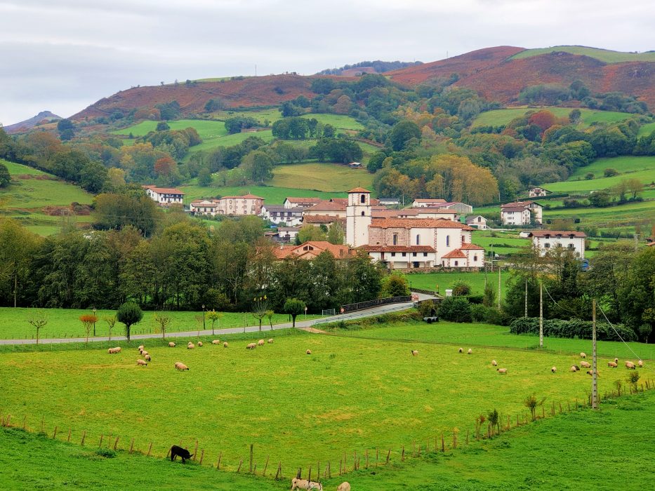 navarra