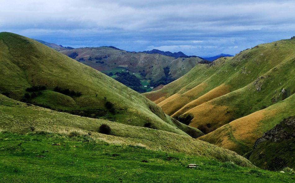 navarra