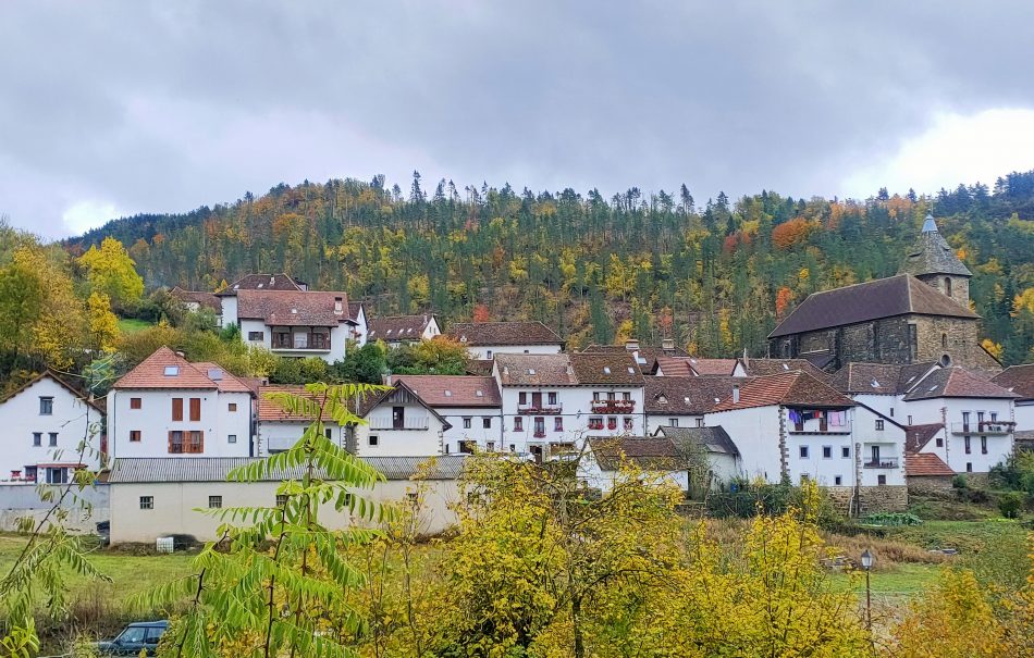navarra