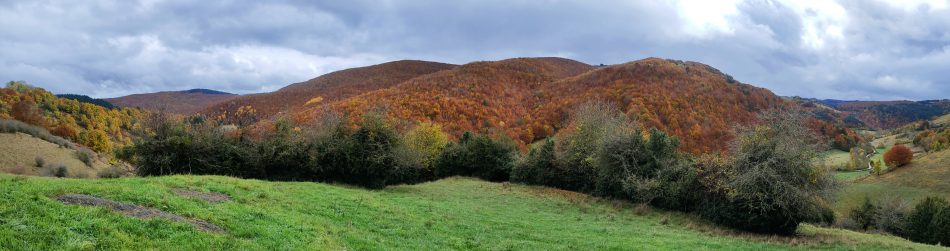 navarra