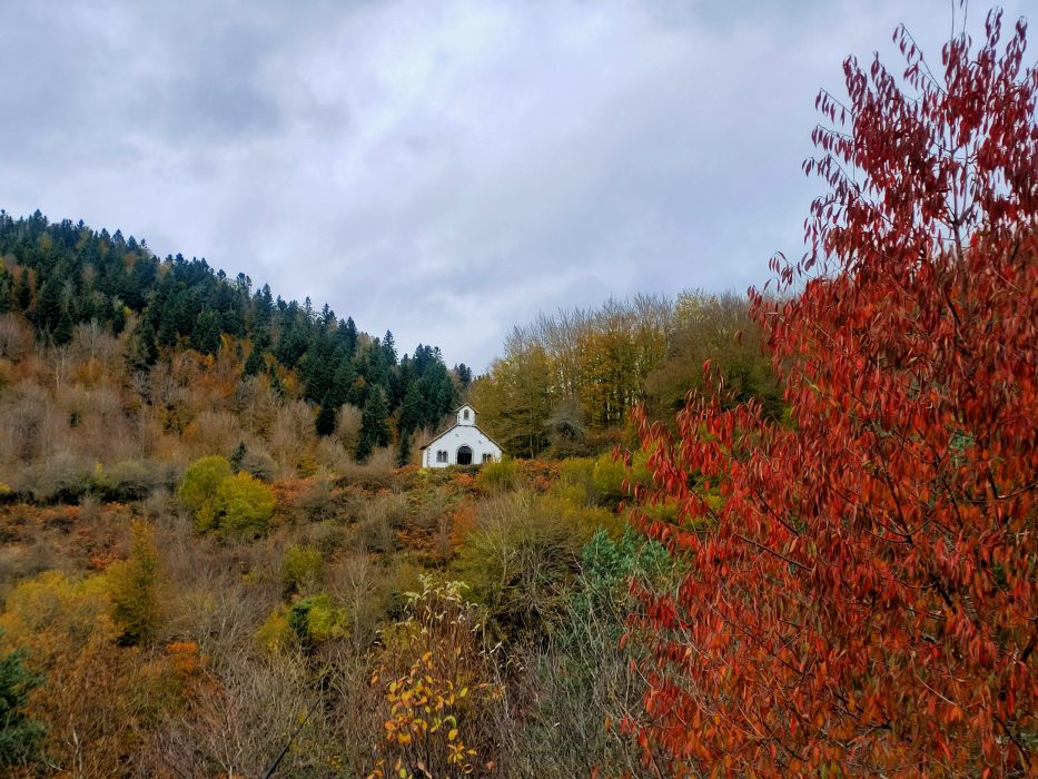 navarra