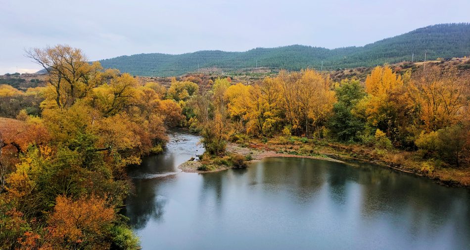 navarra