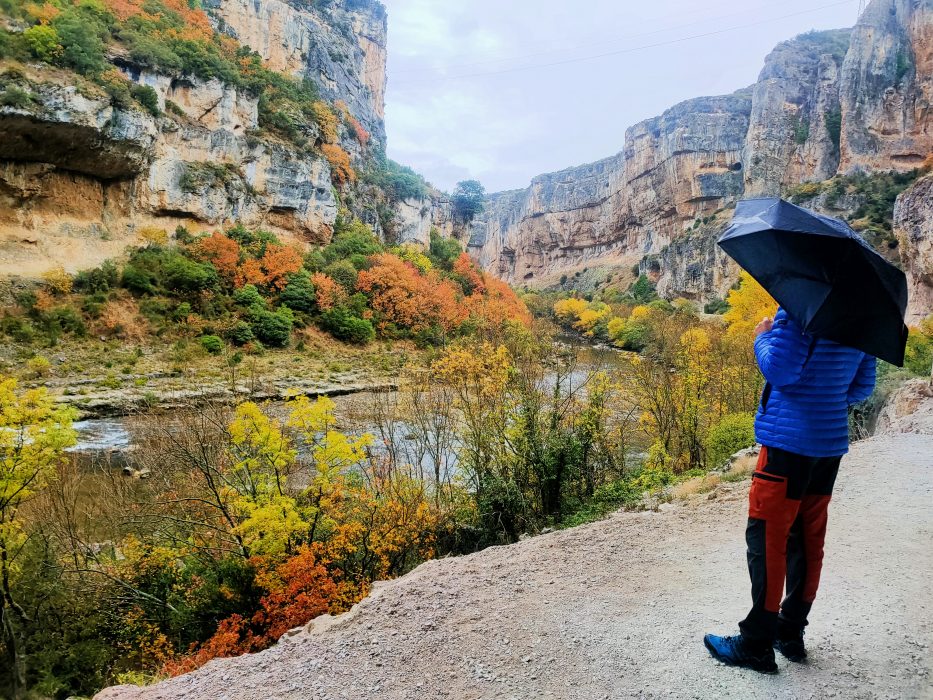 navarra