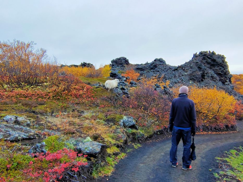 MYVATN. AKUREYRI. HUSAVIK. EL NORTE DE ISLANDIA.